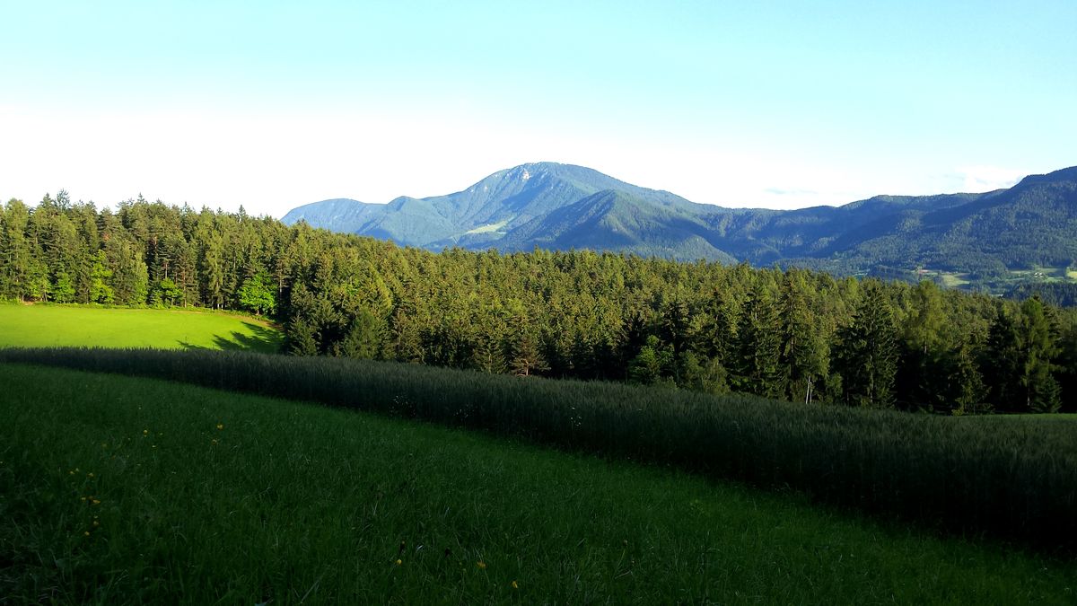 kmetija-hudobnik-08