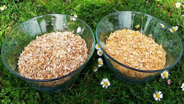 Naravna polnila