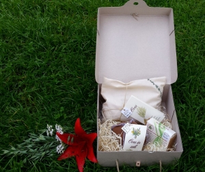 WELLNESS DARILNI PAKET OVSEK