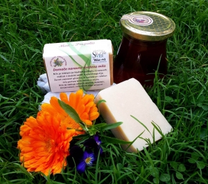 MED – PROPOLIS